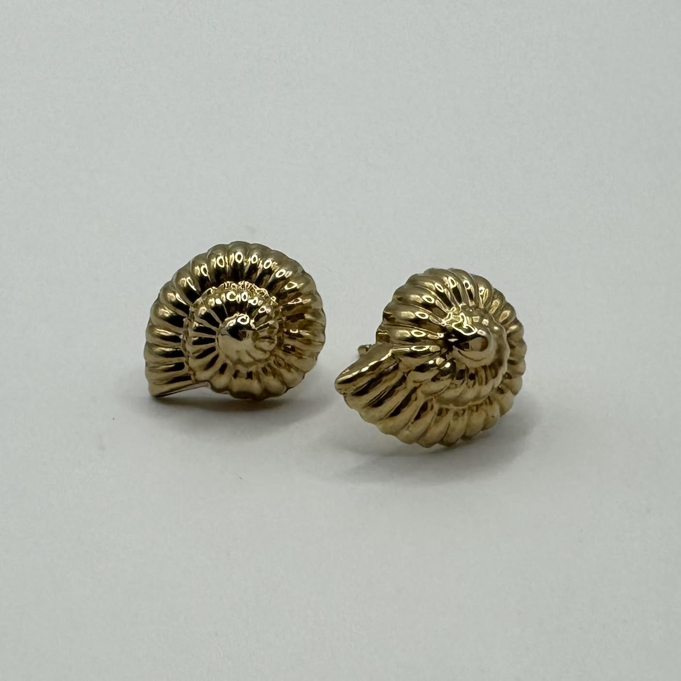 9ct Yellow gold Ammonites studs