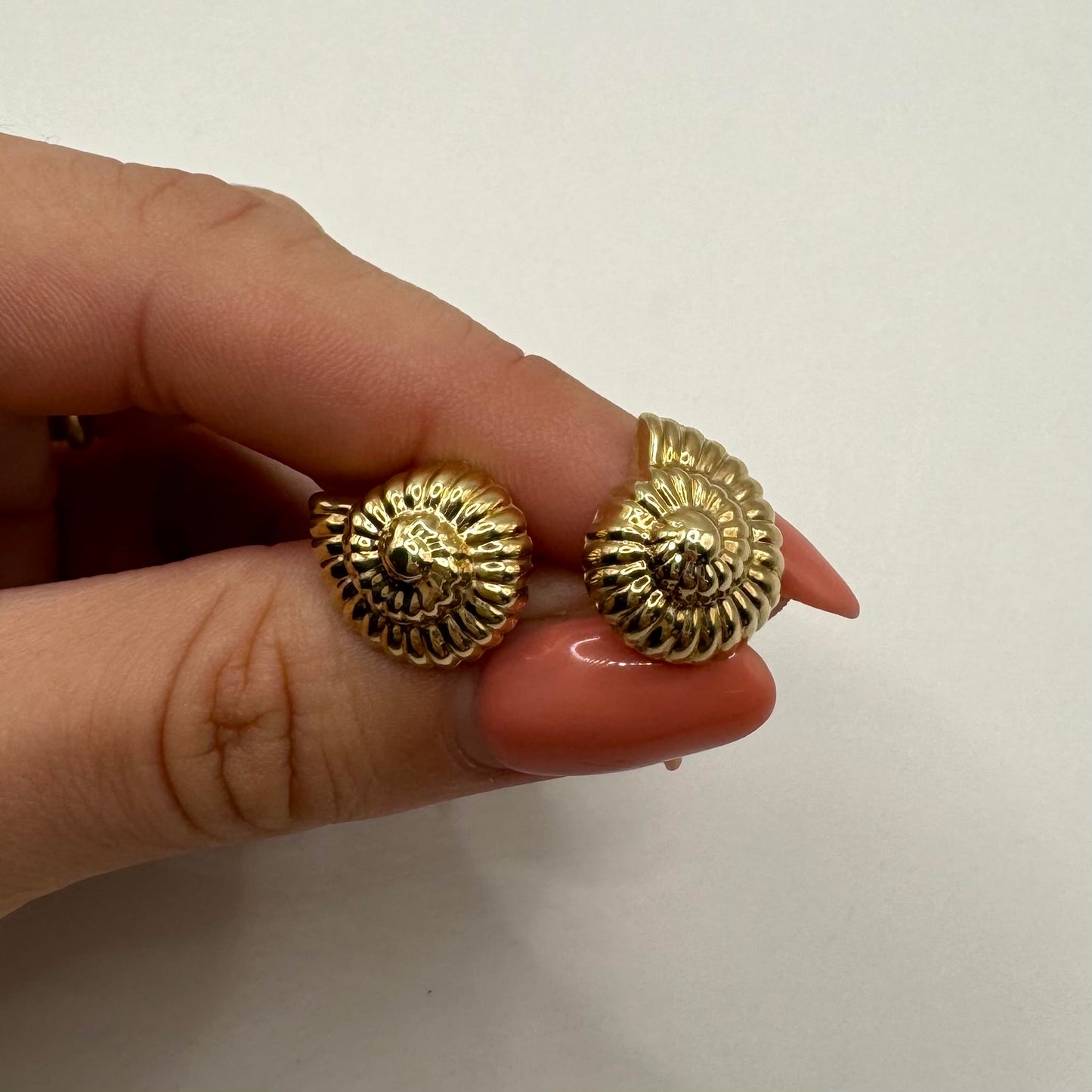 9ct Yellow gold Ammonites studs