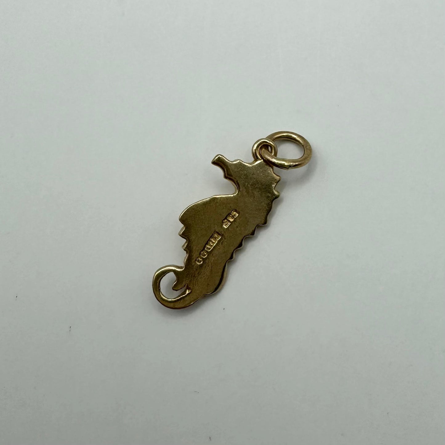 9ct Detailed seahorse charm with pink eye